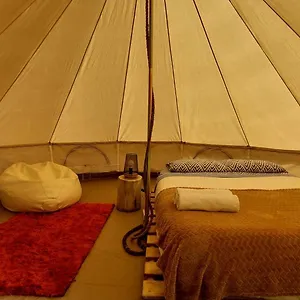  Glamping Nature Retreat - Laurel Forest